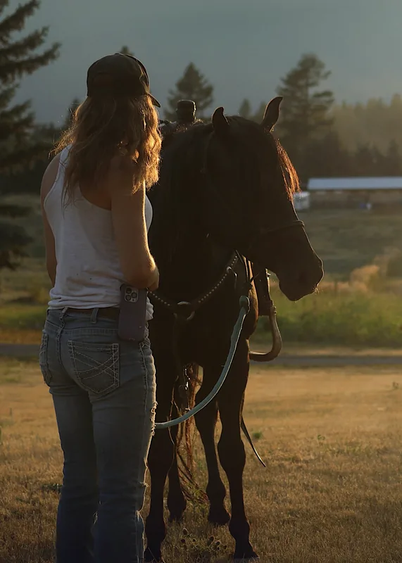 Équanima, constellations familiales avec les chevaux : une personne assise dans l'herbe fait face à un cheval sombre, dans une lumière dorée de fin de journée.